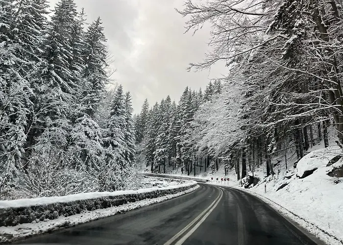 Soft Mountain 스클라르스카포렘바